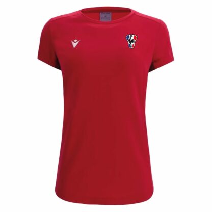 Polo – Image 4